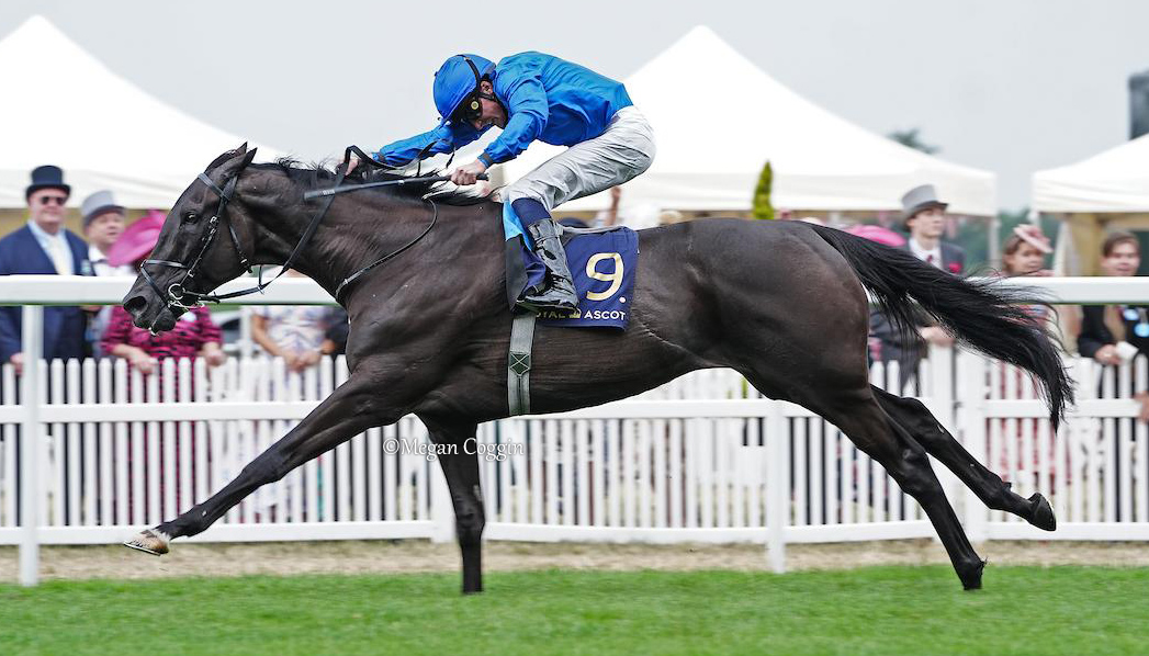In all his glory...REBEL'S ROMANCE 👑

The seven-time G1 winner proved his brilliance once again with a resounding win in Saturday's G2 Hardwicke Stakes at #RoyalAscot.

"He's a worldwide superstar and I said earlier I have a picture of him on my bedside table, he means so much