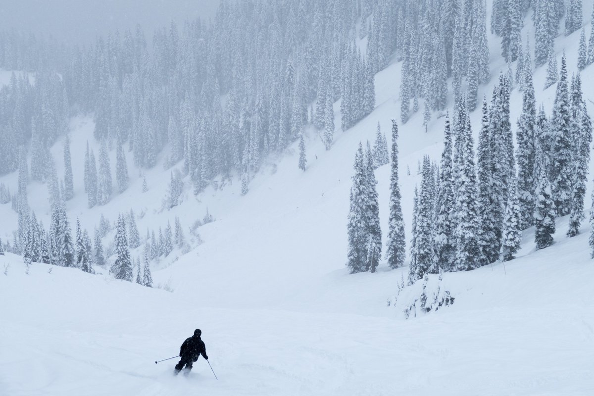 curriecreek's tweet image. The summer solstice just passed, but is anyone else counting down to ski season? We’re already daydreaming about powder days in Fernie. Share your favourite @SkiFernie run below! 👇

#fernie #skifernie #ferniestoke #powderhighway