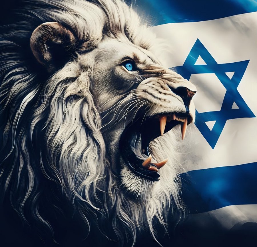 EliAfriatISR's tweet photo. You support Israel? I will follow you.✅

Say here "I support Israel". 🇮🇱🤍 https://t.co/XCuv4YAwZA