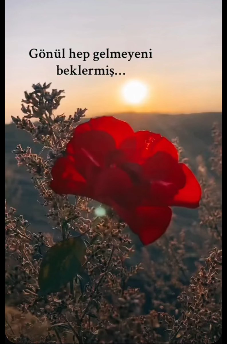 Umutsuz yaşanmaz, 
Umut hep vardır.. 

#Hayırlıakşamlar🌟🌙