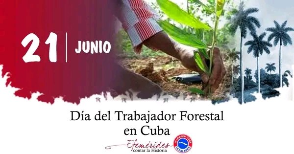 50 años celebrando una profesión que da vida. Felicidades a todos.