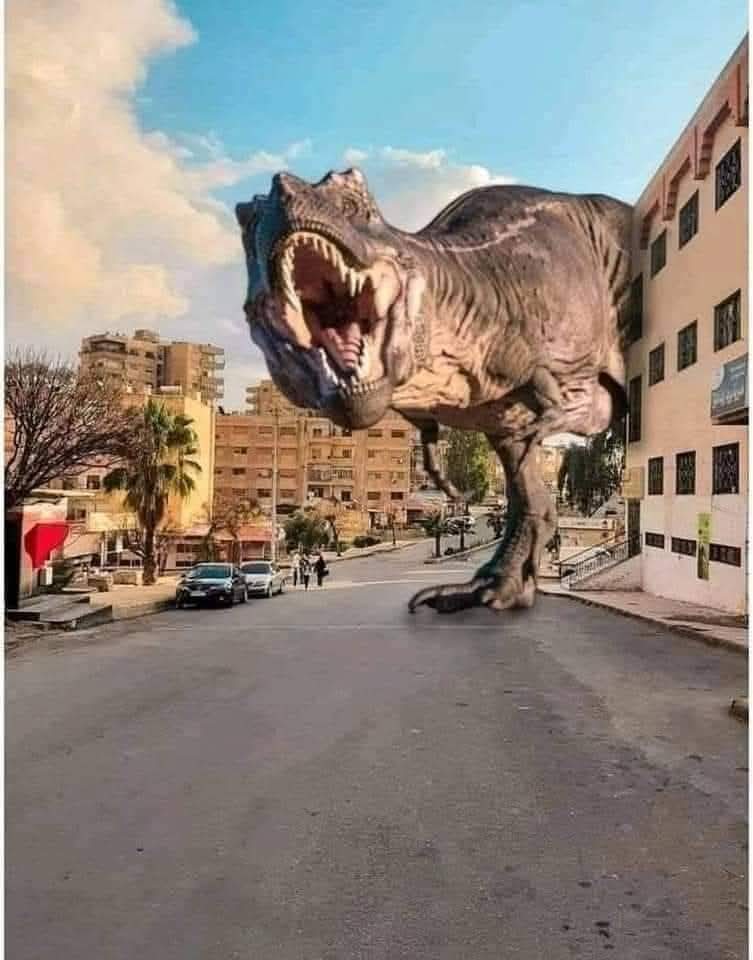 مش فاضل غيرك يا غالي.. متطولش علينا خلينا نخلص😂