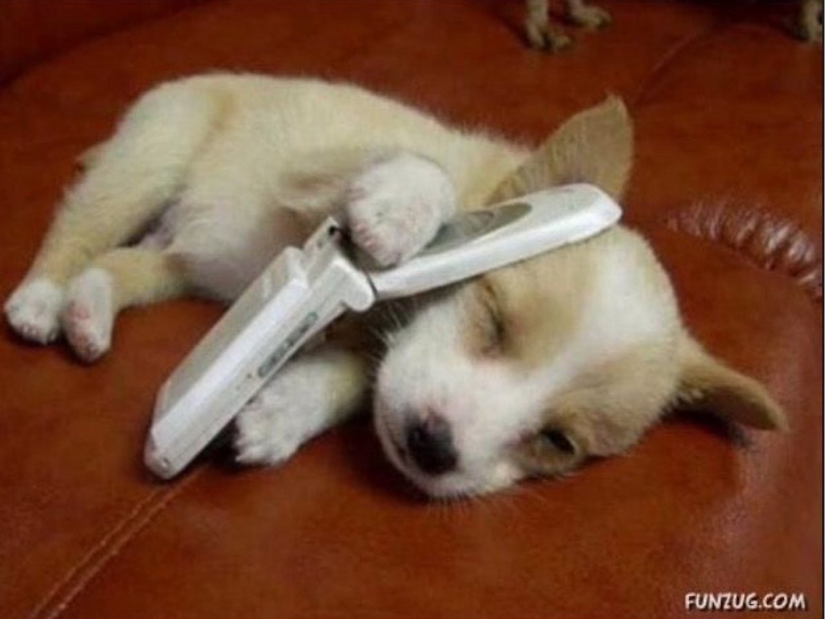 그래서 주주는 나 얼만큼 좋아?
                                                            ......
에 주주?
                                                            ...도로롱...Zzz  
의주 역시 나를 안좋아하는구나.
나랑 전화 소중하지 않아서
지금 자고 있는거야😿