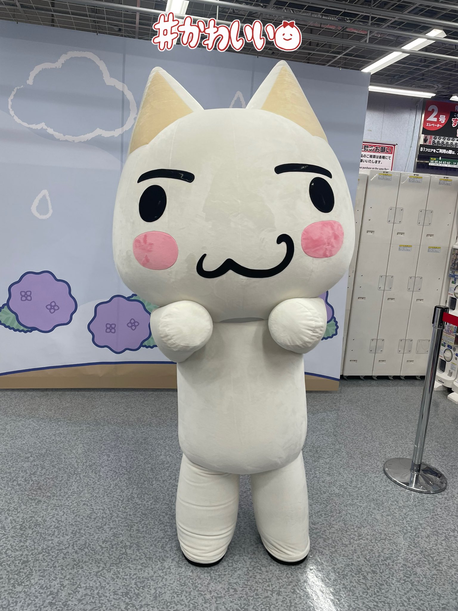くまのすけ♥️ on X: 