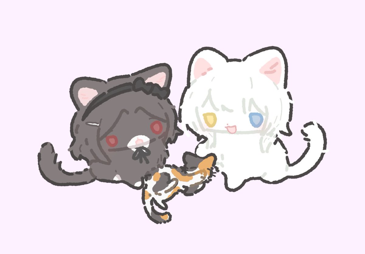 rlorvu's tweet image. 냥딸램들