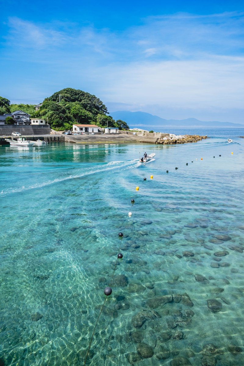 高知の海は美しい