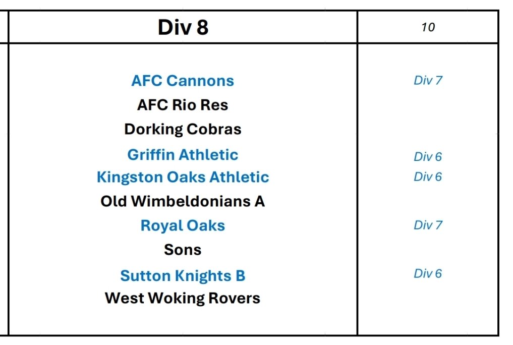 Provisional division for our 3rds 25/26 season