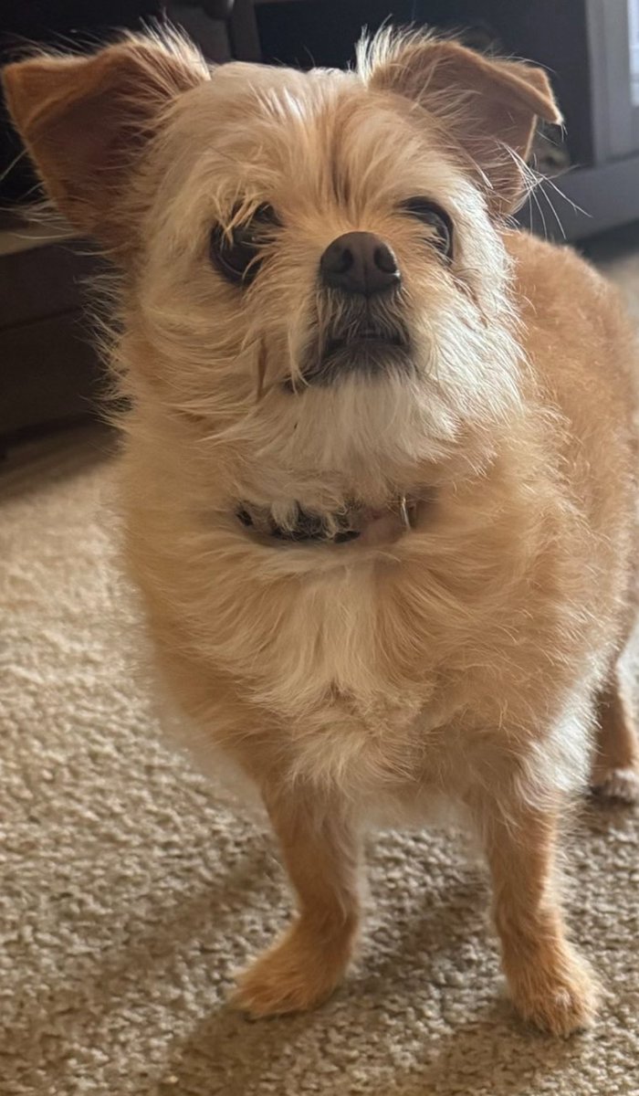 He looks like he’s got a lot to say
