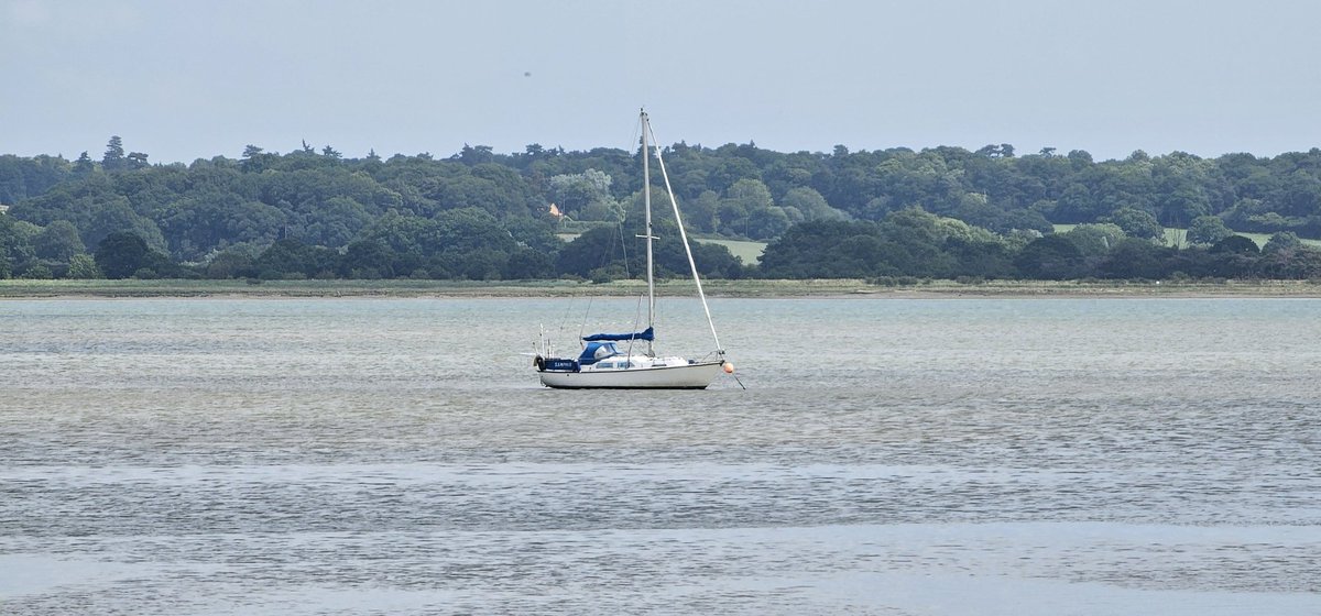 MrC_Copperpot's tweet image. Fine weather for boat-watching..... whilst drinking the Essex Tea :)
#BoatSnaps #waterside #Boats