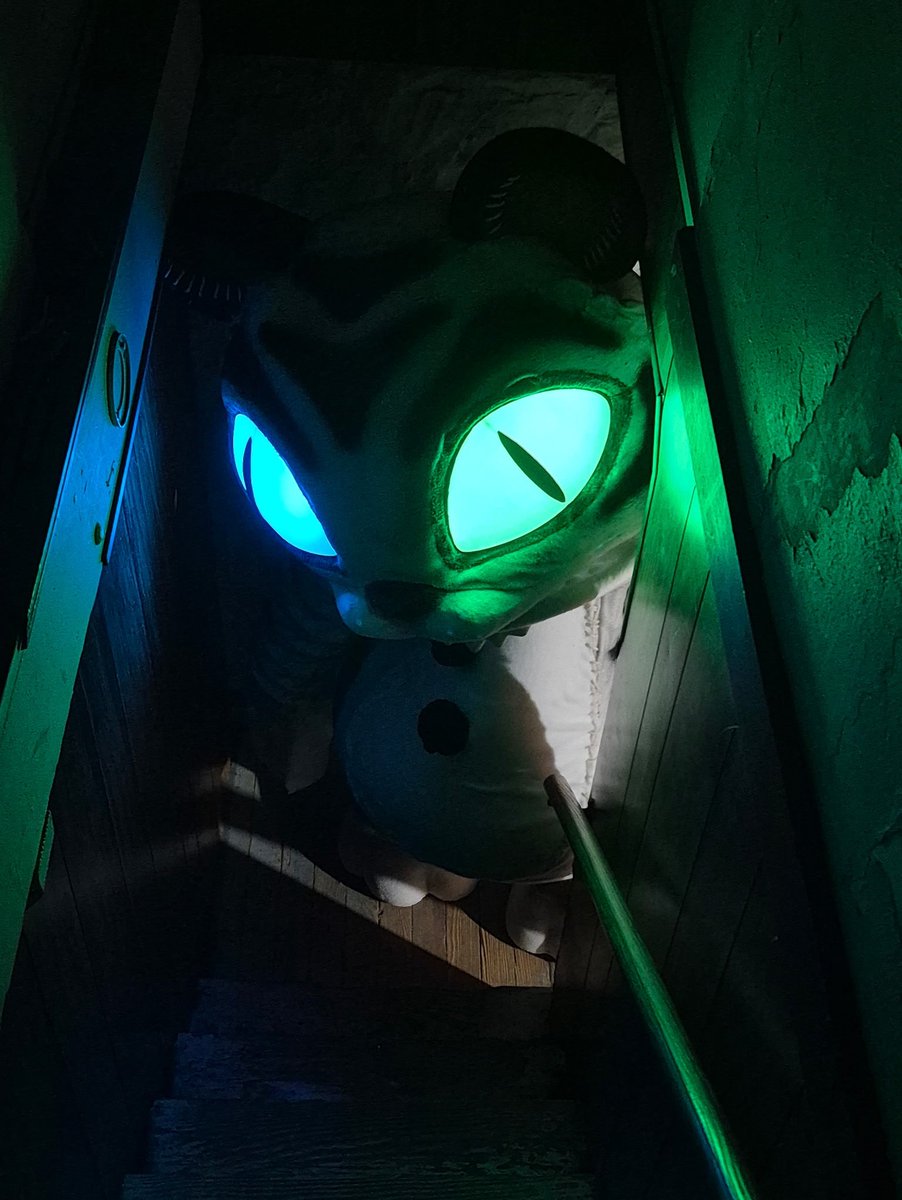 THEAMALGAMATI0N's tweet photo. "The Murray's are hiding something down there, I haven't seen Bob in days..."
It looks like @SteelWoolStudio is keeping more than a few secrets in the basement...
#SOTM #SecretSaturday #fnaf #cosplay #fanart https://t.co/IDAFUYTdOG