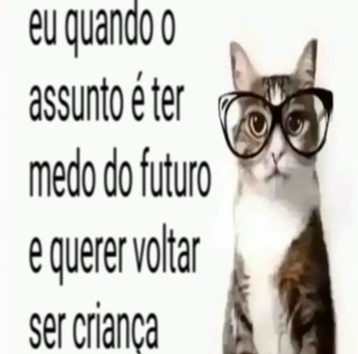 susgovbr's tweet image. eu🤓