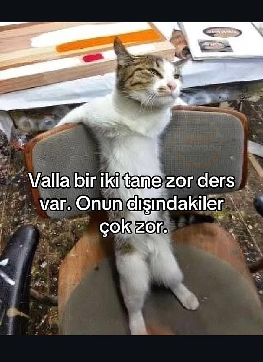 Yeşimseverz (@yesimseverz) on Twitter photo 