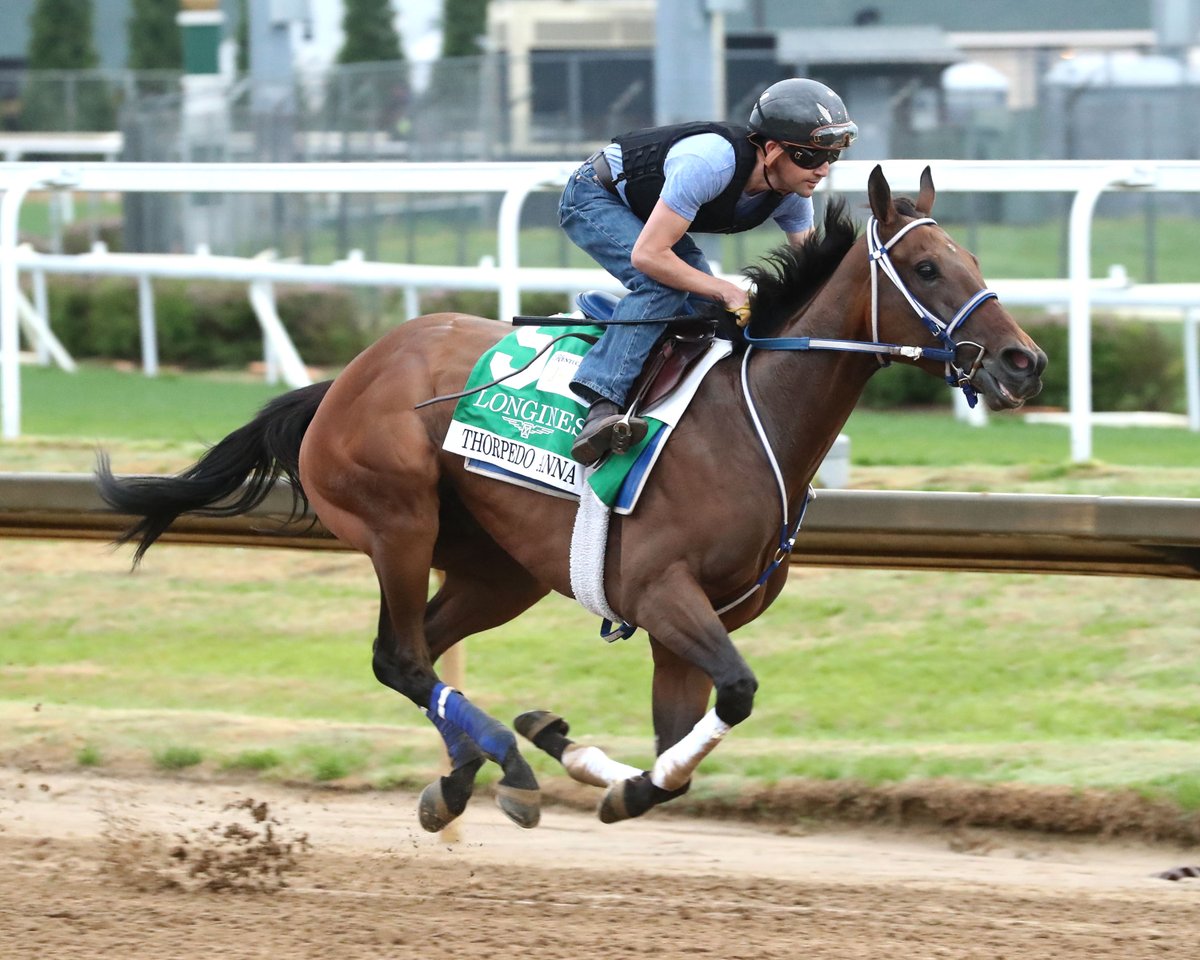 Reigning Horse of the Year Thorpedo Anna is back in next Saturday's $500,000 Fasig-Tipton Fleur de Lis (G2).

The field from the rail out:
Royal Spa
Save Time
Thorpedo Anna
Gin Gin
Taxed