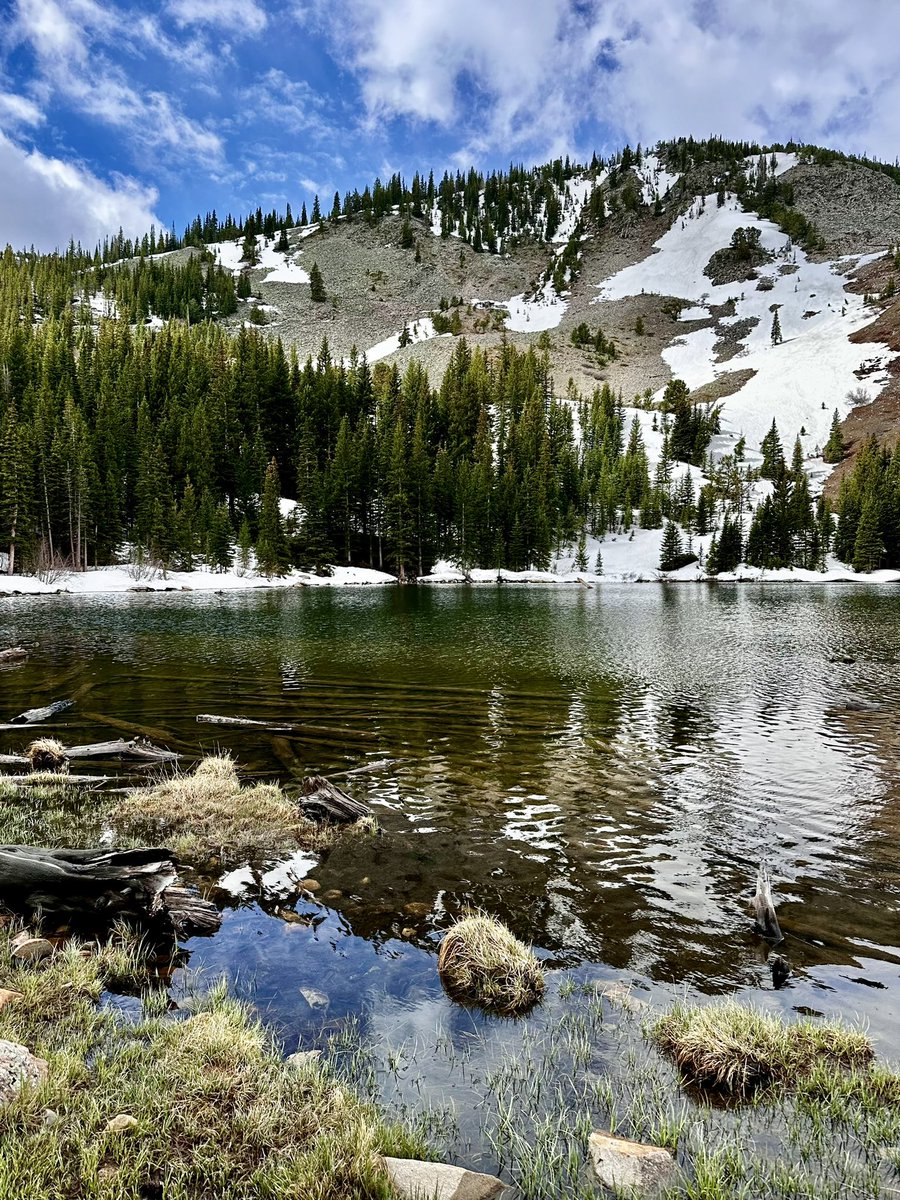 What a difference a week makes! The trail to Lost Lake is now clear of snow. 

Come beat the heat with us this weekend. Our free shuttle runs today (Saturday, 6/21) until 8 pm.