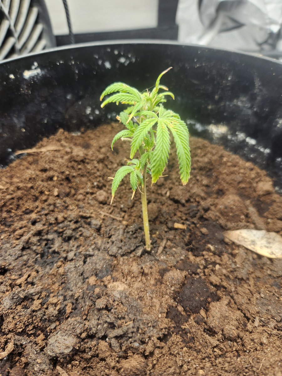 keRRy ⚠️ tweet media