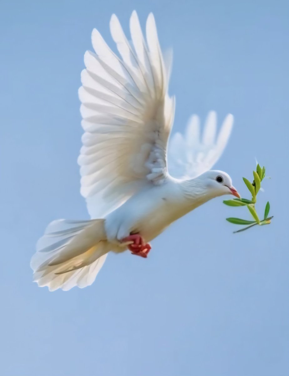 lashish's tweet image. Growing up this picture always had an impact on me because of what it represented. It meant peace.. Specifically; peace in the Middle East.

 The second picture needs no words.