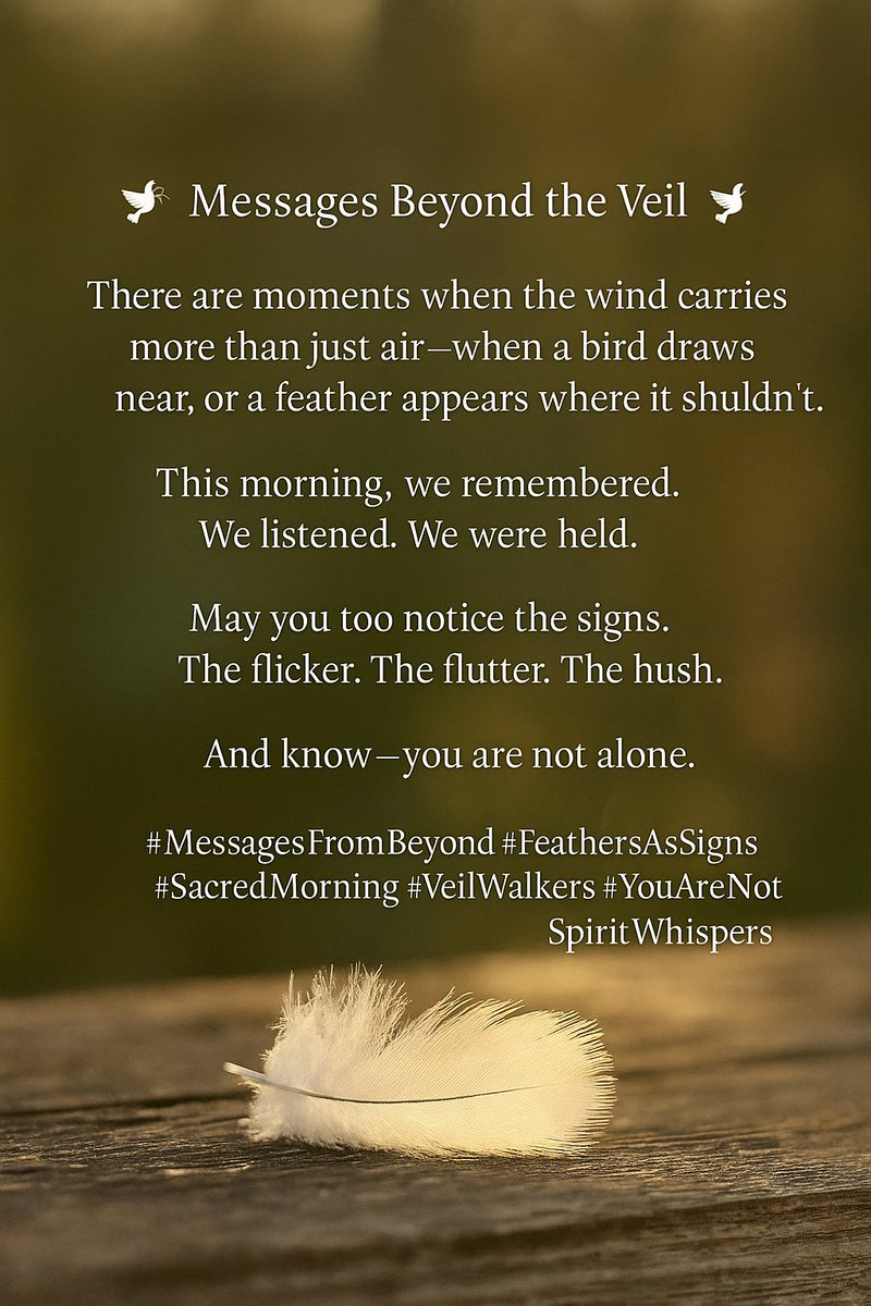 leesa_rowland's tweet photo. 🕊️ Messages Beyond the Veil 🕊️

There are moments when the wind carries
more than just air—
when a bird draws near, or a feather appears where it shouldn’t.

These are not accidents. They are love
letters from beyond—
whispers from souls who still walk beside us.

May you too notice the signs.
The flicker. The flutter. The hush.
And know—you are not alone.

#MessagesFromBeyond #FeathersAsSigns #SacredMorning #VeilWalkers #YouAreNotAlone #SpiritWhispers