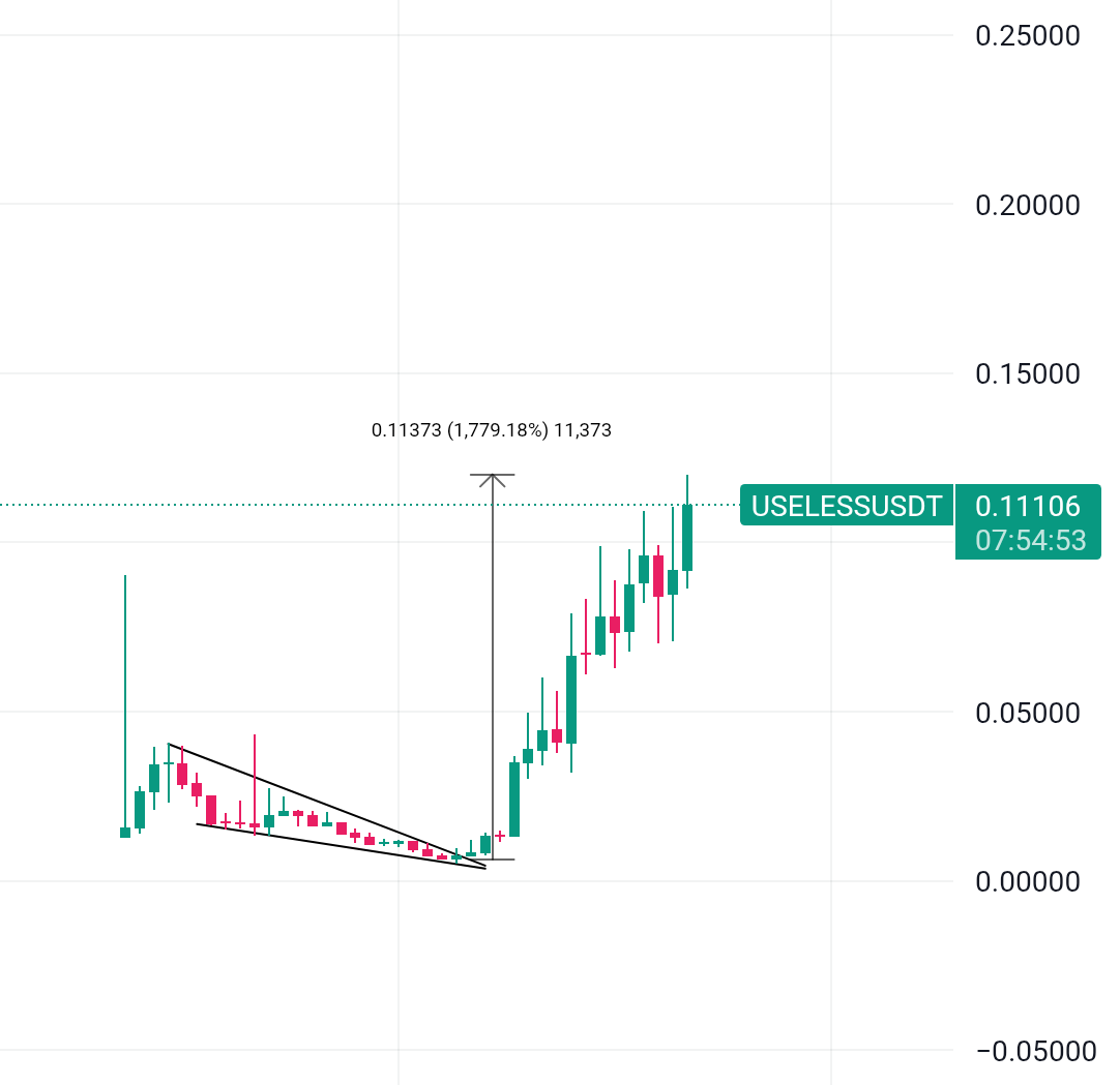 $ICE Could be next $USELESS 🚀