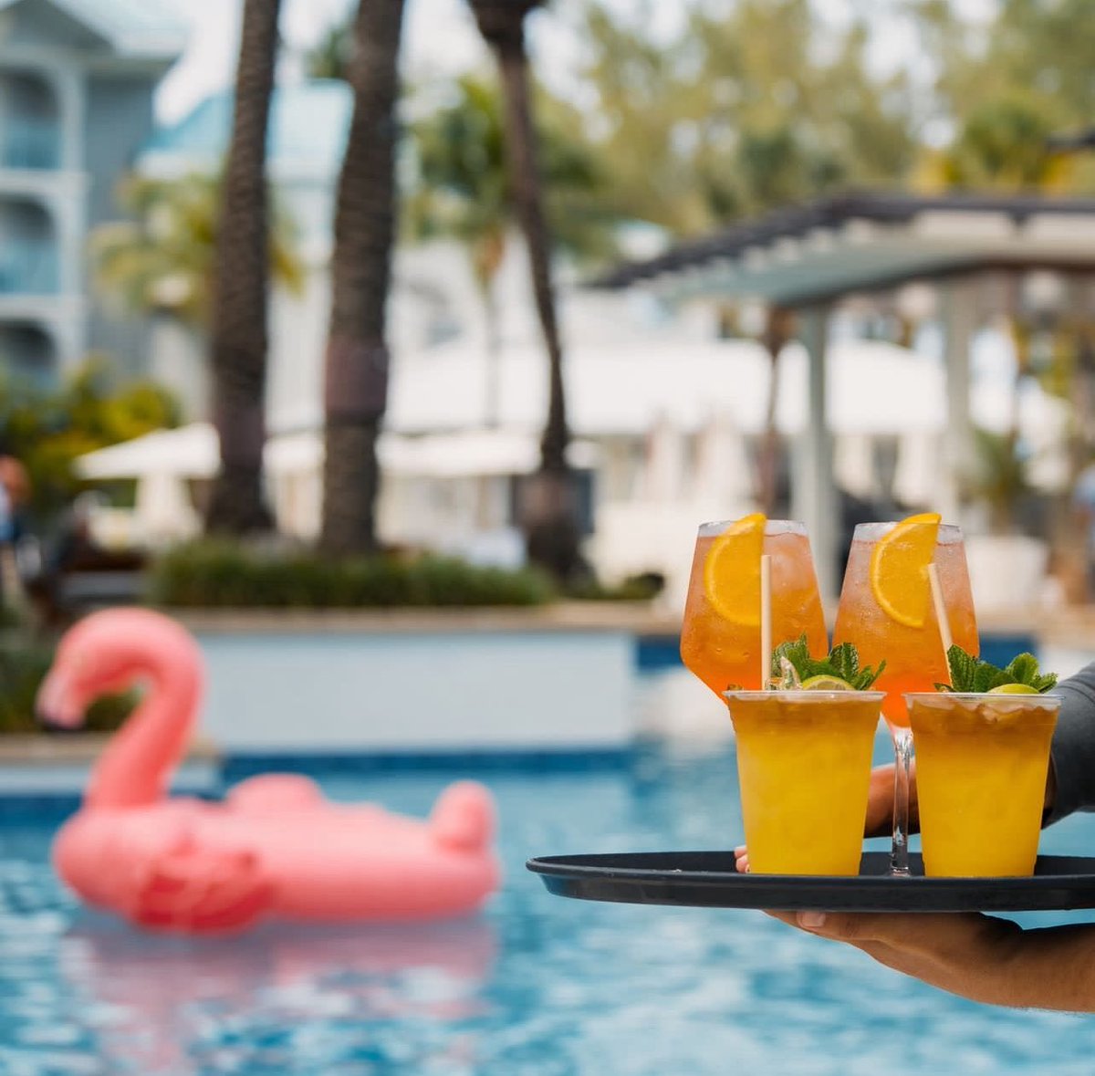Cayman Islands Classic (@caymanclassic) on Twitter photo Headed to the Cayman Islands Classic? 🏀🌴 🌊 Stay in style at our exclusive hotel partner, <a href="/WestinGCayman/">Westin Grand Cayman</a> westingrandcayman.ipoolside.com Book now and enjoy luxury and comfort while taking in elite hoops in paradise!
#CaymanIslandsClassic #WestinGrandCayman Headed to the Cayman Islands Classic? 🏀🌴 🌊 Stay in style at our exclusive hotel partner, <a href="/WestinGCayman/">Westin Grand Cayman</a> westingrandcayman.ipoolside.com Book now and enjoy luxury and comfort while taking in elite hoops in paradise!
#CaymanIslandsClassic #WestinGrandCayman