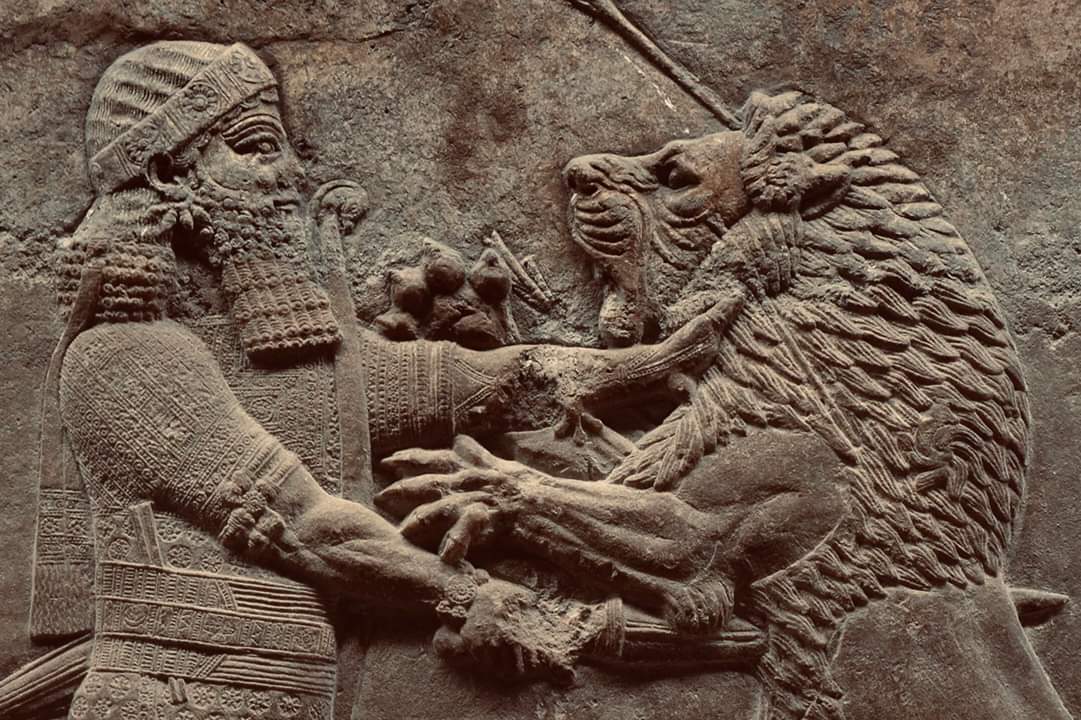 جدارية آشورية تظهر الامبراطور الآشوري اشوربانيبال وهو يصارع أحد الأسود في نينوى خلال القرن السابع قبل الميلاد 

An Assyrian mural showing the Assyrian emperor Ashurbanipal wrestling with a lion in Nineveh during the seventh century BC