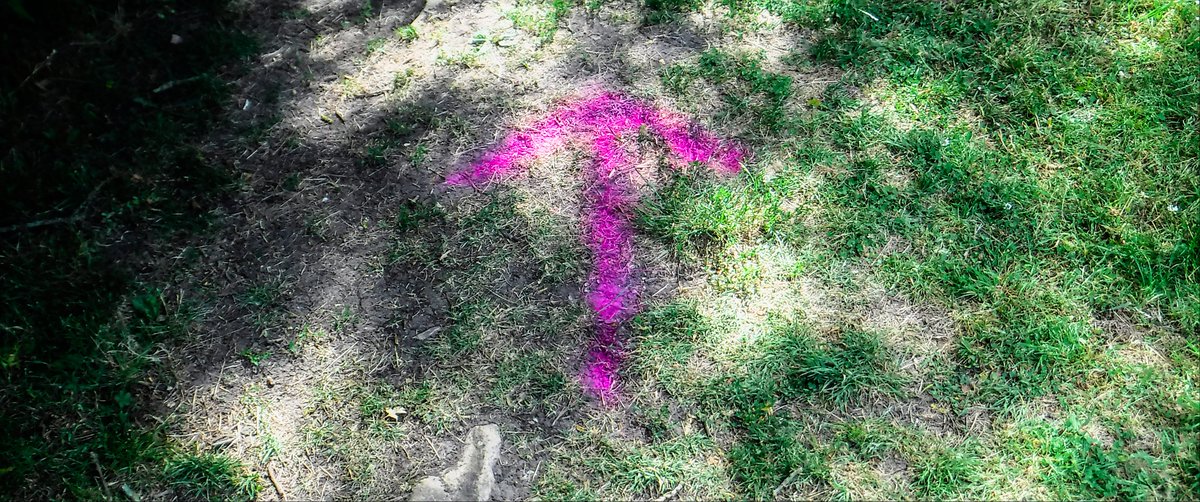 rrrooobbbppp's tweet image. Today&apos;s walk with a &apos;toy&apos; camera.

#photography #fuji #compactcamera #itsnotthecamera #walk