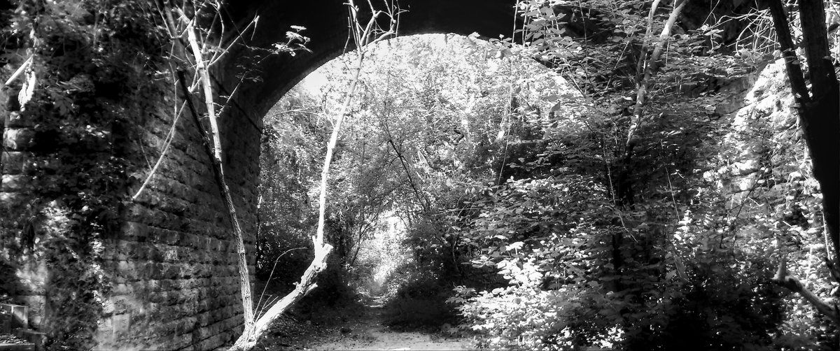 rrrooobbbppp's tweet image. Today&apos;s walk with a &apos;toy&apos; camera.

#photography #fuji #compactcamera #itsnotthecamera #walk