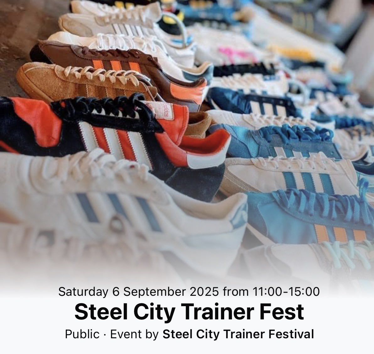 Trainer Show in Sheffield 😎