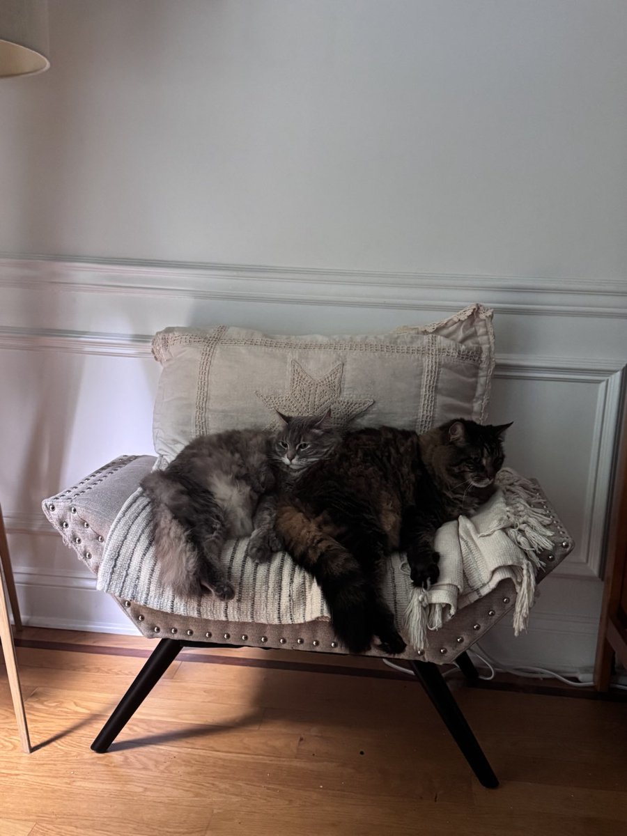 Lou Diamond Phillips (@loudphillips) on Twitter photo Thatâs why itâs called a Love Seat.
Dzikus & Boba
#HappyCaturday
Photo by âŠ<a href="/YMPhillips/">Yvonne Phillips</a>â© Thatâs why itâs called a Love Seat.
Dzikus & Boba
#HappyCaturday
Photo by âŠ<a href="/YMPhillips/">Yvonne Phillips</a>â©