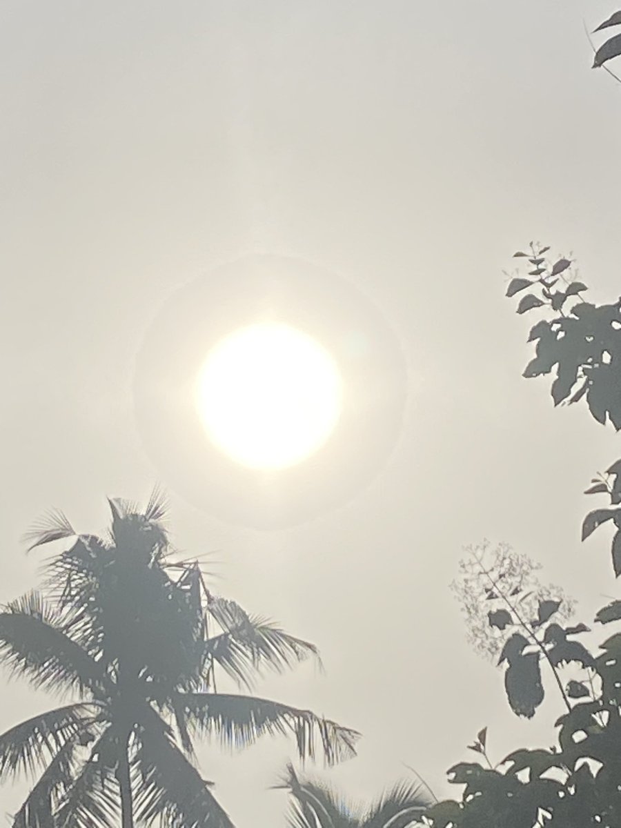 Cannaveena Sayoko tweet media