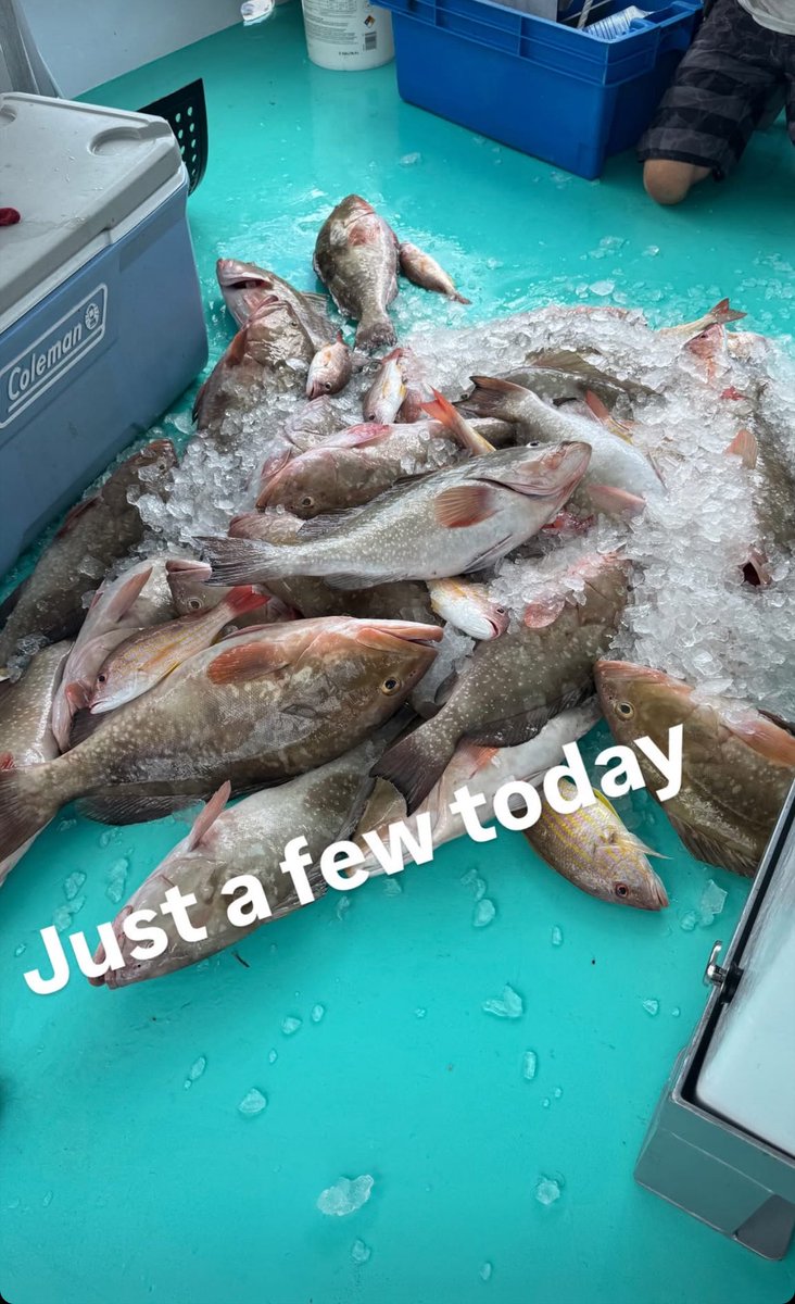 Fish on! 🎣