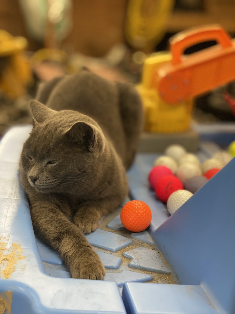 Ryan Arthur tweet media