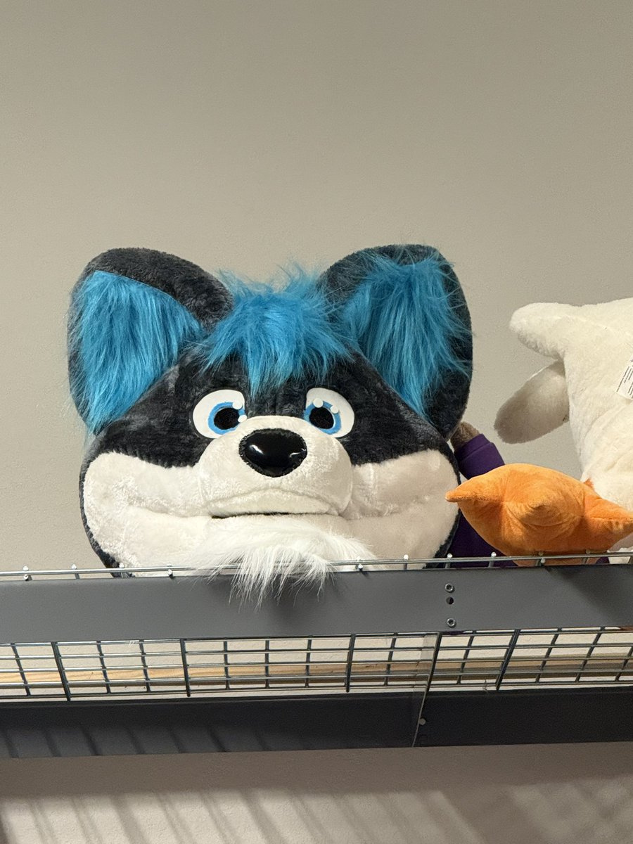 Sodapoppintv's tweet image. ARE U GUYS SEEING THIS SHIT !?