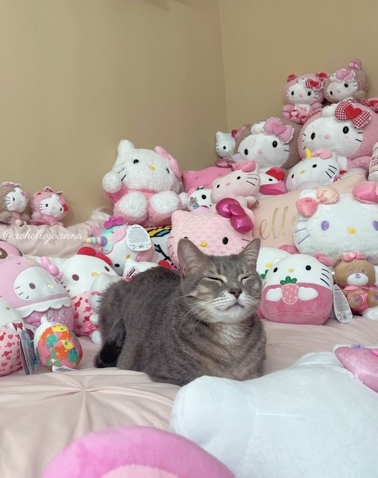 lovesickdoe's tweet photo. this is what heaven feels like https://t.co/z8pfMUFznd