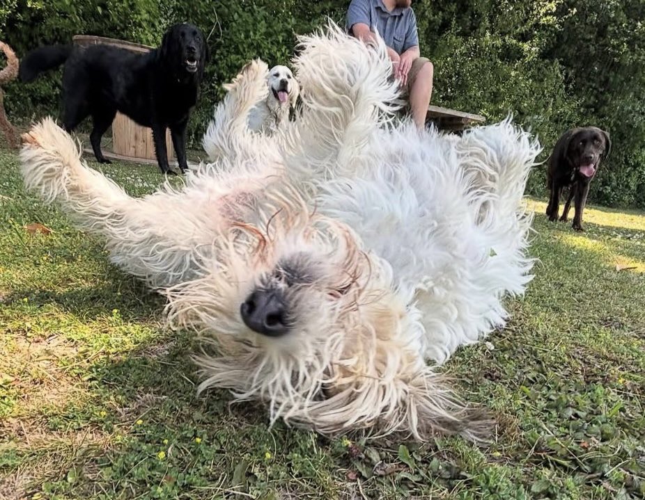 “Paint me like one of your berserk loons…”