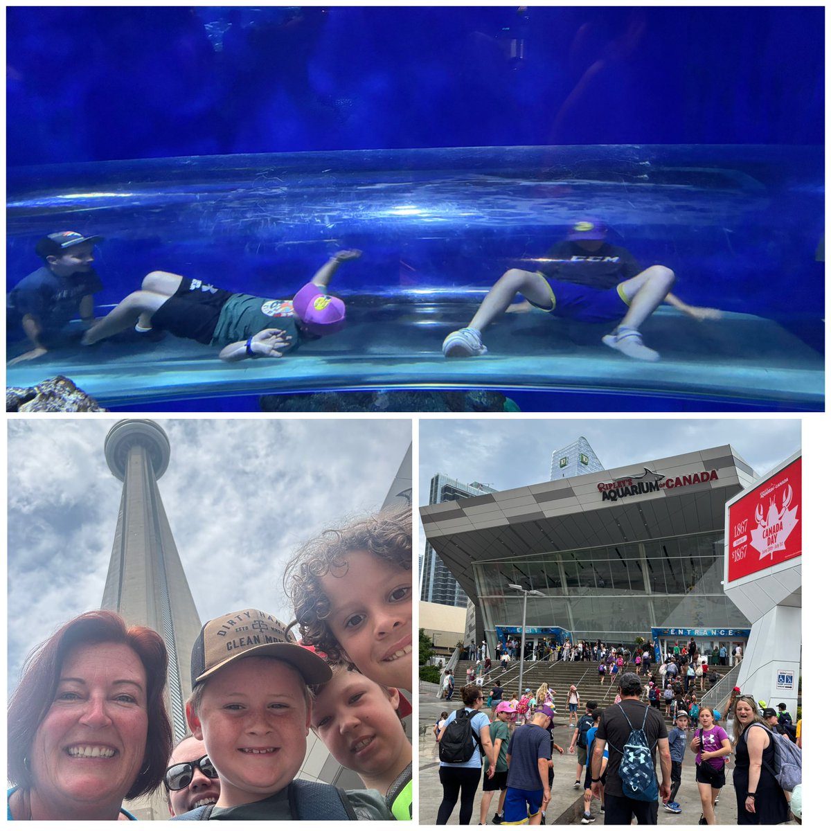 stluke130's tweet image. More fun pictures from the trip to Riley’s Aquarium and Medieval times! #PVNCBeingcommunity #PVNCBeingcreative
