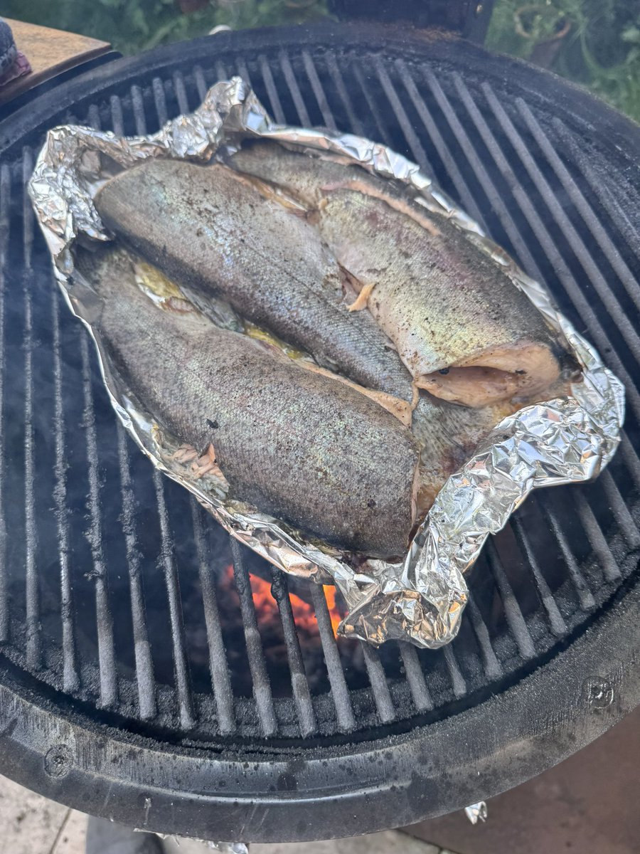 AlastairHackney's tweet image. Nine carnivore post-GCSE year 11s, loads of meat and fish (and some healthy things too) and poker in the garden