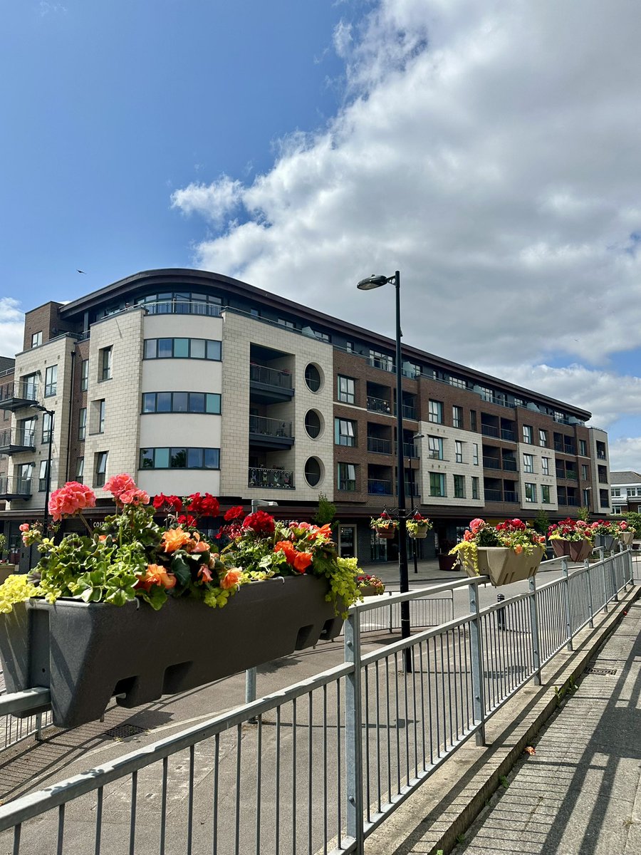 HRinBloom's tweet photo. Isn't the heart of #HoughtonRegis looking lovely? The flowers in our hanging and barrier baskets are growing quickly and look absolutely brilliant! 🥰

#HRinBloom #UKSPF #UrbanGreening #BloomingBrilliant #BloomingBedfordshire 

🌸🧡❤️🌺❤️🧡🌼 https://t.co/MA5XoFORnf