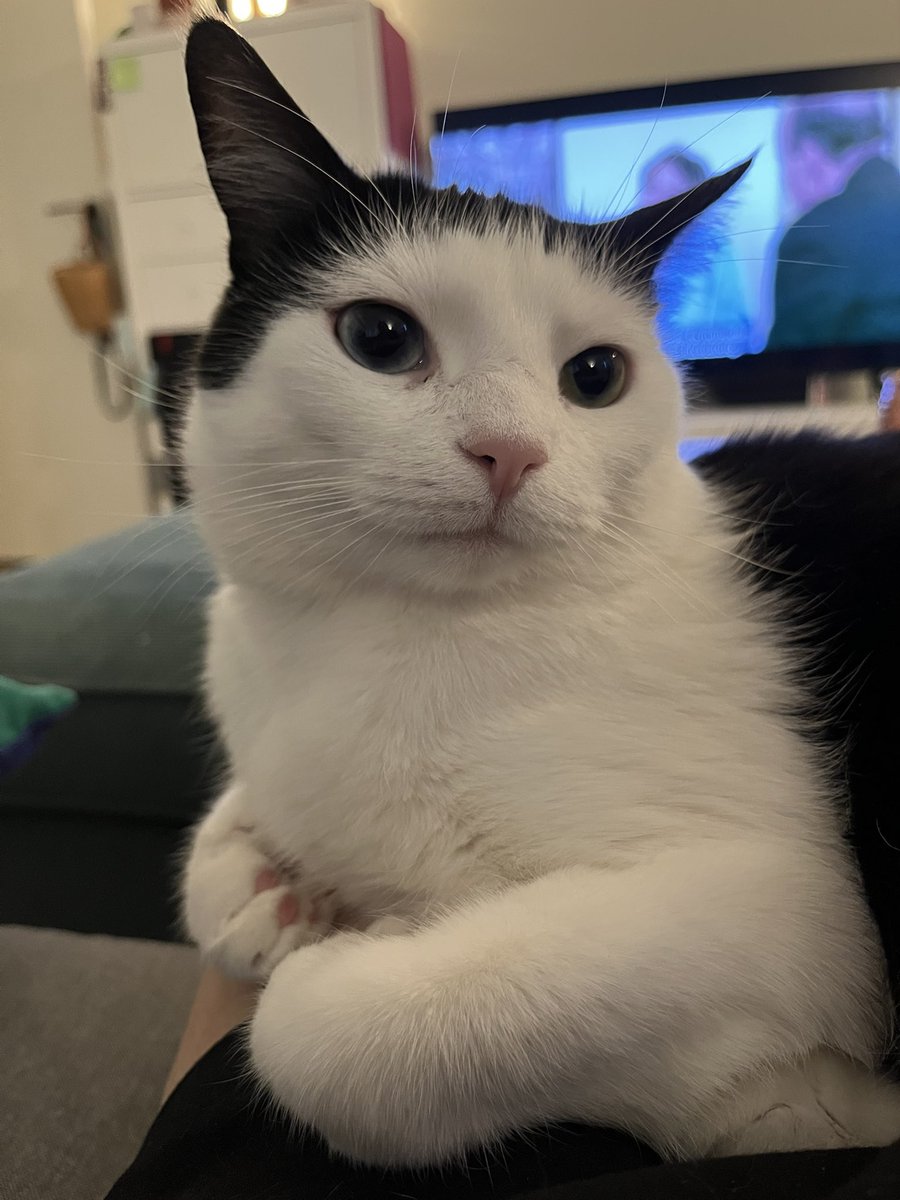 Your TV companion tonight