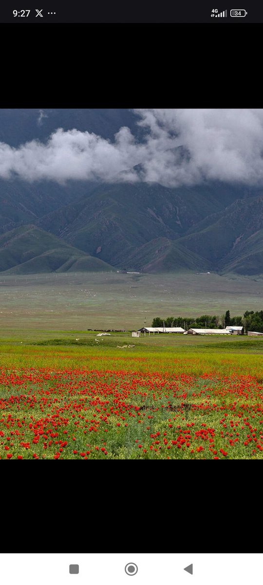 picolo2125's tweet image. El corazón de Dimash late con el ritmo de la estepa Kazaja.

AMBASSADOR OF KAZAKHSTAN TOURISM  
DIMASH UNITES CULTURES 
#KazakhSuperStar
