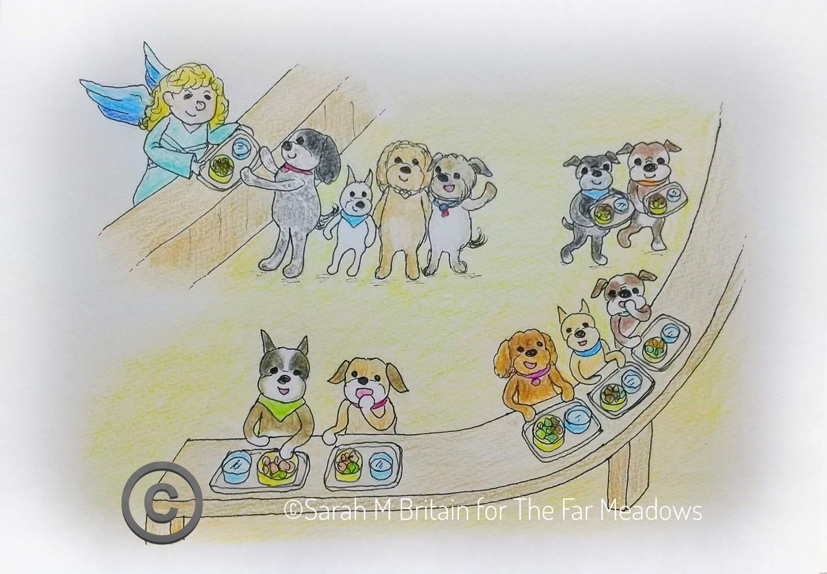 <a href="/CancerDoggy/">Vinnie & Toby❤️ Jasper🌈 Hartson🌈</a> Aww, puppy Hartson! So adorable? 🥰💝
He is playing with angel pals in the meadows over the rainbow bridge now. 🌈🌳🌻🪻🌺🐾💖

(The top of the queue at the cafeteria in the meadows in this picture  is Hartson.💖 With Toby, Roxie and Treebs.)