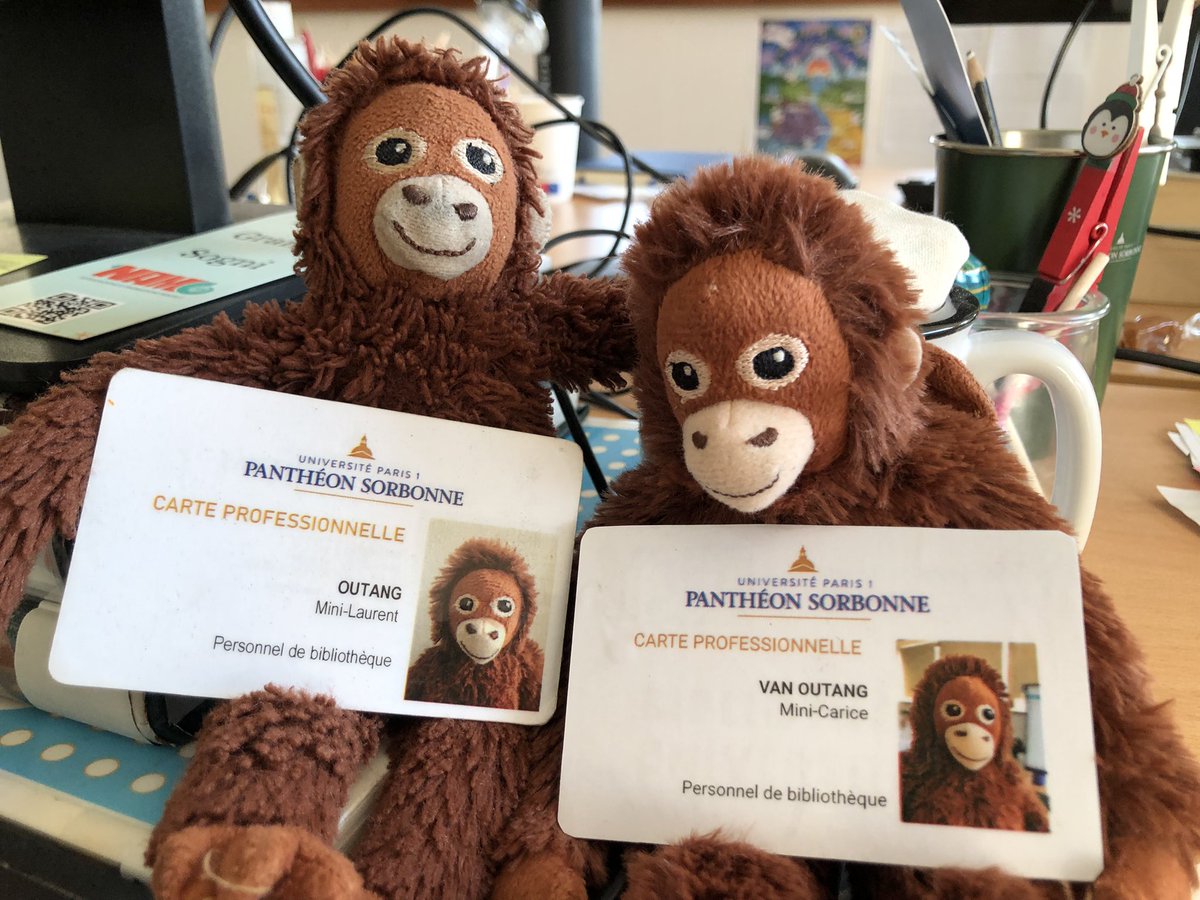 Faire plaisir à ses filles en embauchant leurs mini-singes