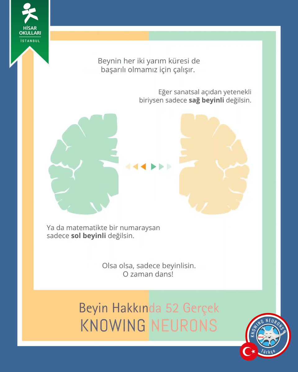 KnowingNeurons's tweet image. #TurkishThursday
Sağ beynini mi daha çok kullanıyorsun, yoksa sol beynini mi? 🧠🤔Hisar Okulları öğrencilerinin katkılarıyla Türkçeleştirdiğimiz “Beyin Hakkında 52 Gerçek” serimizin yeni bölümü seni yine şaşırtacak. 😲
#knowingneurons #scicomm #nörobilim #beyinhakkında52gerçek