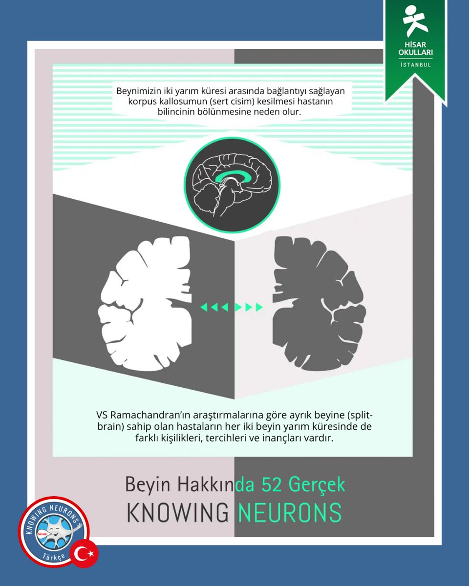 KnowingNeurons's tweet image. #TurkishThursday
Sağ beynini mi daha çok kullanıyorsun, yoksa sol beynini mi? 🧠🤔Hisar Okulları öğrencilerinin katkılarıyla Türkçeleştirdiğimiz “Beyin Hakkında 52 Gerçek” serimizin yeni bölümü seni yine şaşırtacak. 😲
#knowingneurons #scicomm #nörobilim #beyinhakkında52gerçek