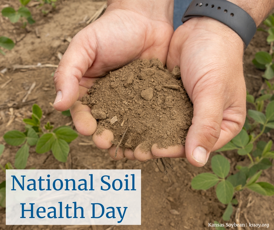 KsSoybean's tweet image. Healthy soil is the backbone of a productive operation — to support strong yields and protect the environment. Today is a reminder to appreciate the land that feeds and fuels us and to preserve this non-renewable resource for future generations.🌱
