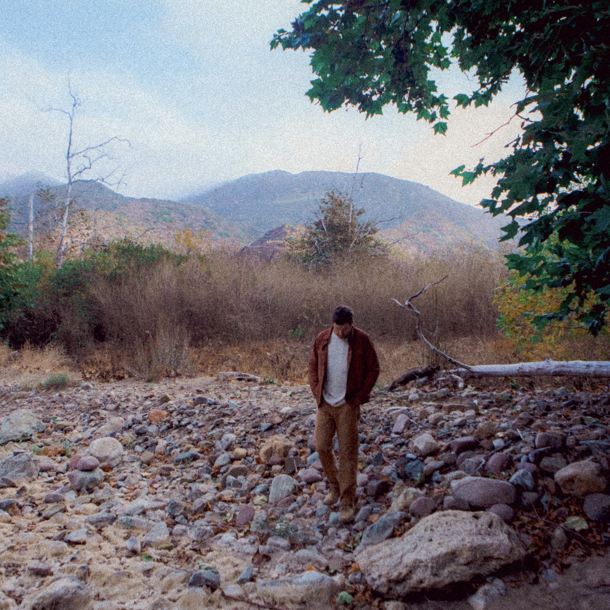 BrettEld76199's tweet image. Affirmations: positive statements that overcome negative thoughts by affirming your self-integrity.

1. Do it today, not tomorrow