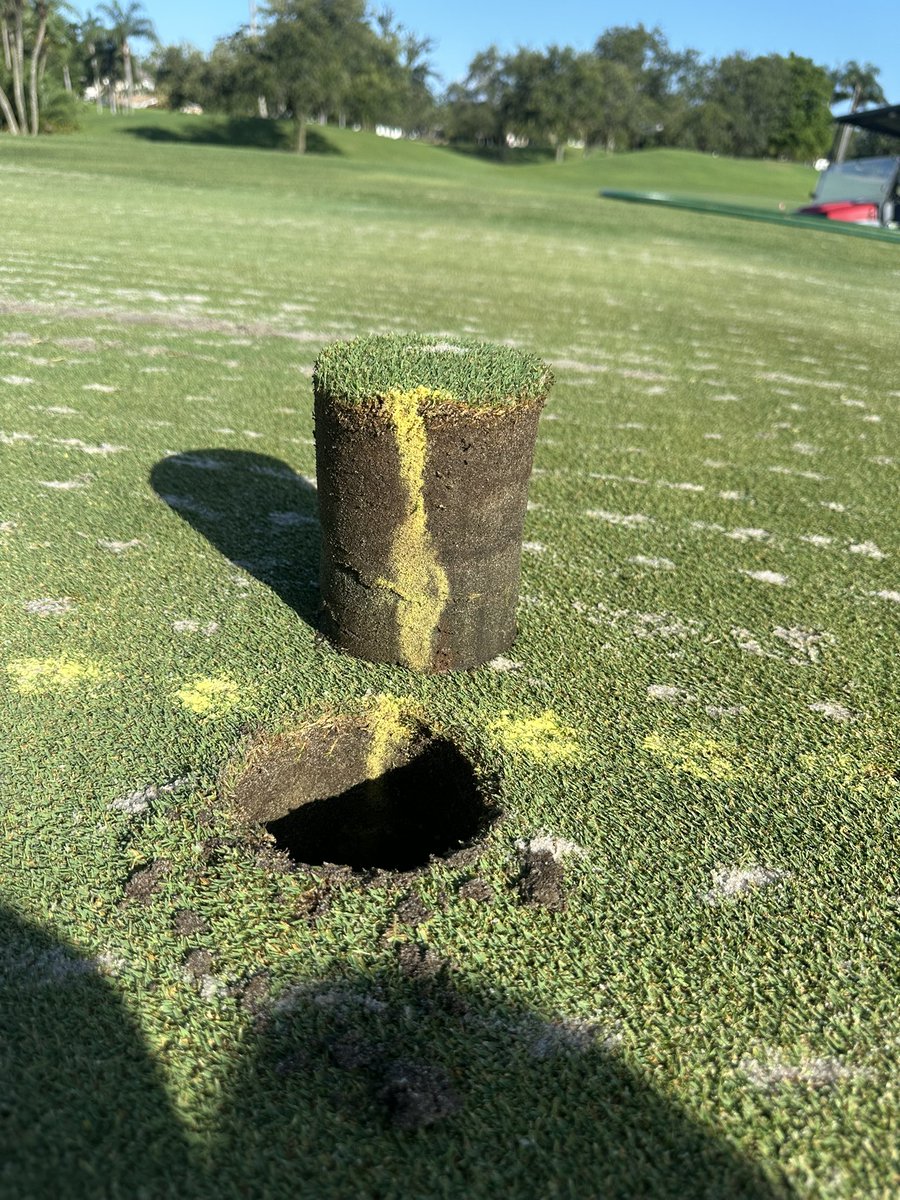 Chase Sbarro (@chase_dryject) on Twitter photo Dryject Technologies making a difference today in these 35 year old greens in St. Petersburg.
Getting some deep shots diluting the organic matter.
The season has been very busy so far & it still has only just begun!
<a href="/FESbarro/">Frank E Sbarro</a>
#DryJect
#PoundSand Dryject Technologies making a difference today in these 35 year old greens in St. Petersburg.
Getting some deep shots diluting the organic matter.
The season has been very busy so far & it still has only just begun!
<a href="/FESbarro/">Frank E Sbarro</a>
#DryJect
#PoundSand