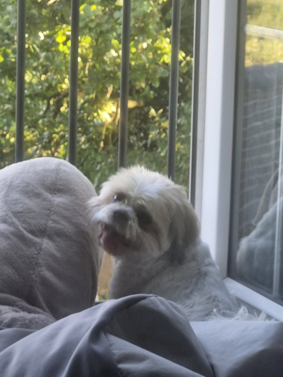 Look where I am mummy 😂😂 hope everyone keeping cool 😎