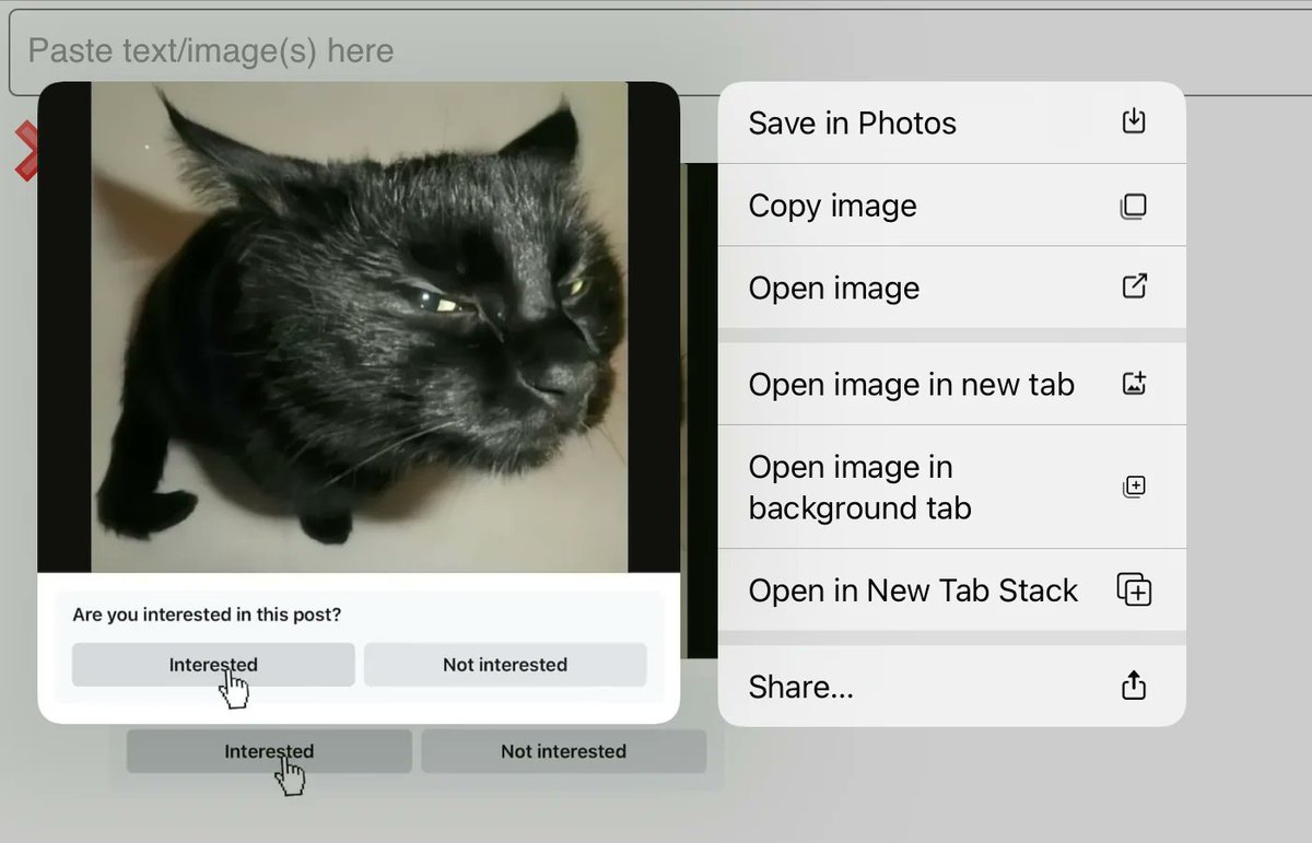 I made a new tool! It's a web app for sending items back and forth between devices on the same local network.

Its noteworthy quality is that you can copy the received images without having to save them to gallery/downloads first.

github.com/YAL-Tools/clip…