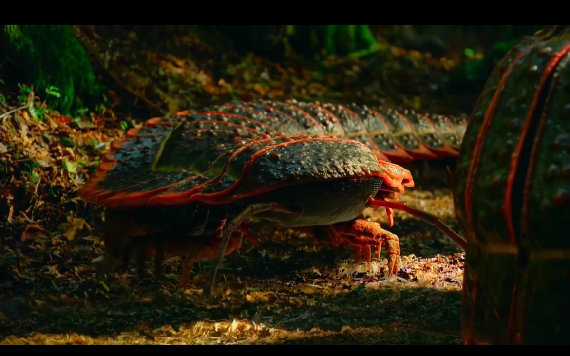 faker_not87953's tweet photo. @Junebug_Junes Arthropleura my beloved, they will never make me hate you ❤️💚✨

Hi am evil John https://t.co/wHI9Nlpdke