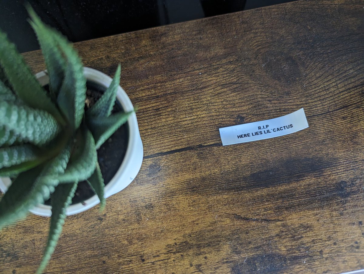 Action Kazimer tweet media